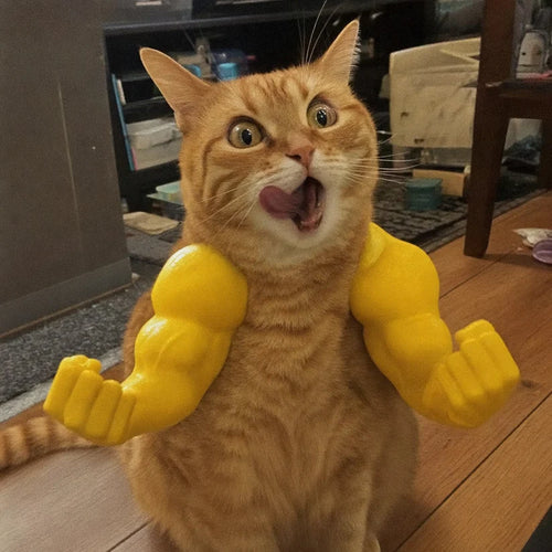 Meowceps - Buff Cat Arms